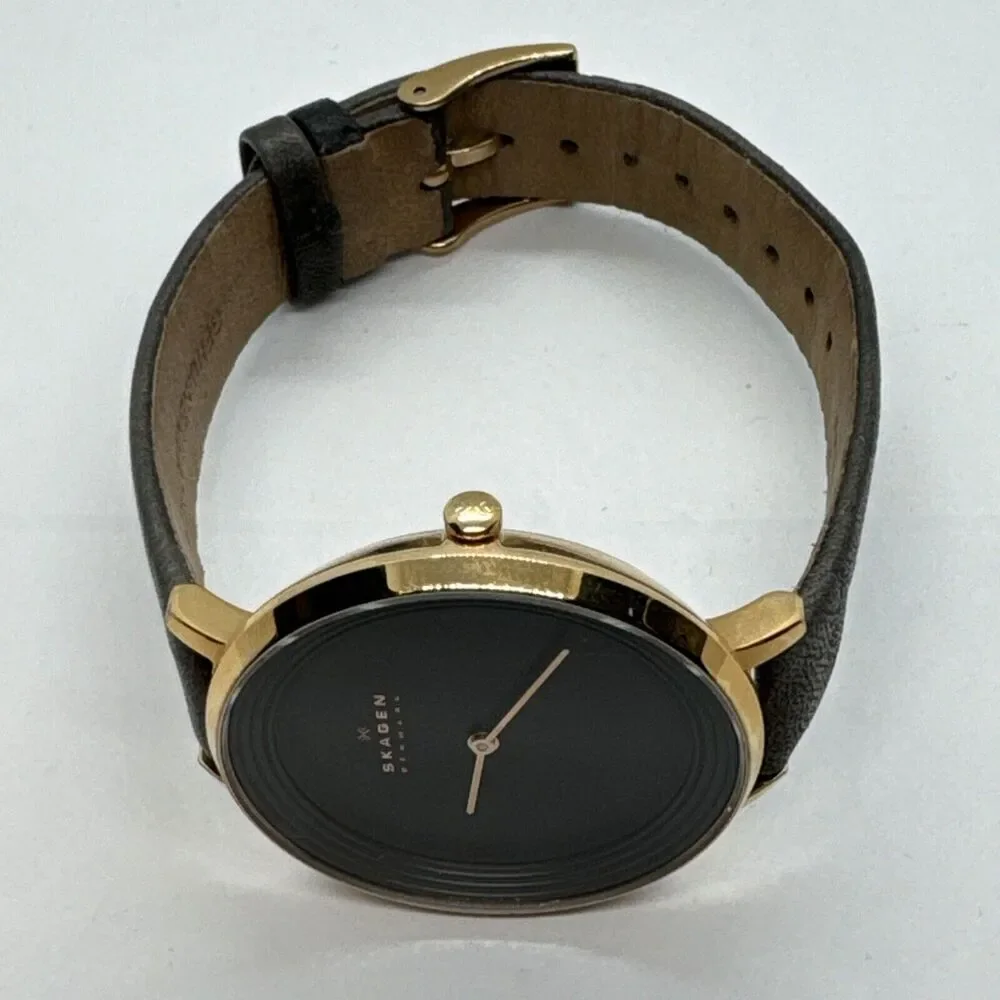 Skagen Ditte SKW2216 Women's Gray Leather Analog Dial Quartz Wrist Watch JNA563